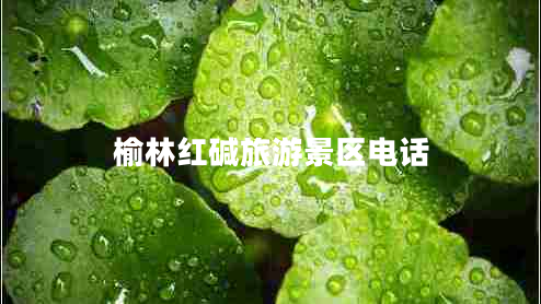 榆林紅堿旅游景區(qū)電話