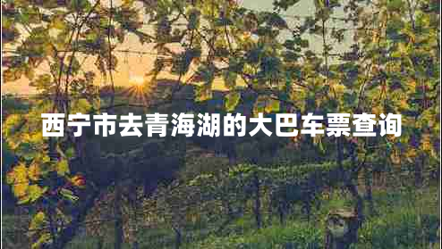 西寧市去青海湖的大巴車票查詢 西寧市去青海湖的大巴車票查詢