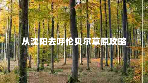 從沈陽去呼倫貝爾草原攻略