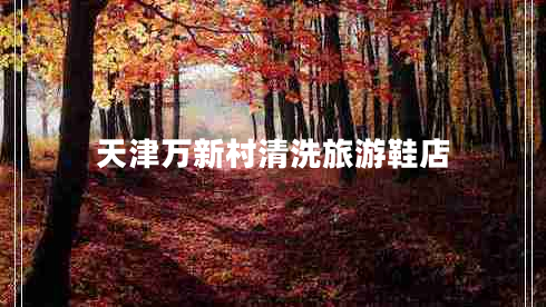 天津萬新村清洗旅游鞋店