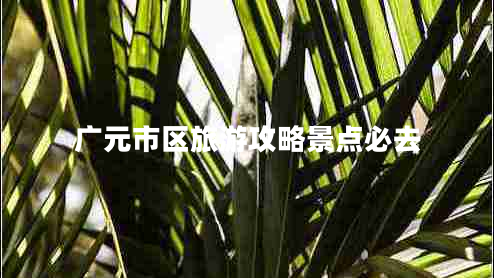 廣元市區(qū)旅游攻略景點(diǎn)必去