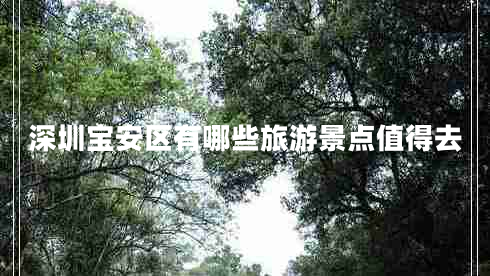 深圳寶安區(qū)有哪些旅游景點(diǎn)值得去