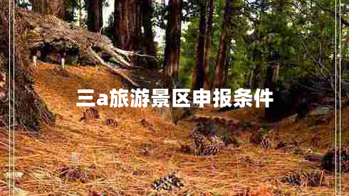 三a旅游景區(qū)申報條件