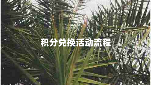 積分兌換活動流程