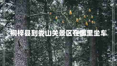 桐梓縣到婁山關(guān)景區(qū)在哪里坐車(chē)