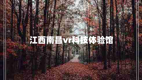 江西南昌vr科技體驗(yàn)館