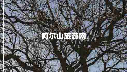 阿爾山旅游網(wǎng) 阿爾山旅游網(wǎng)