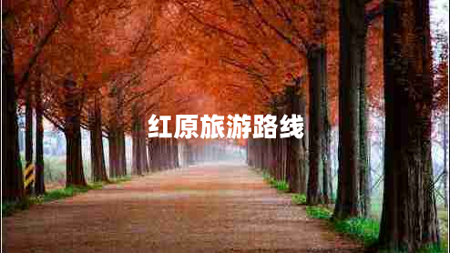紅原旅游路線