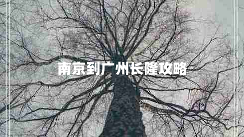 南京到廣州長(zhǎng)隆攻略
