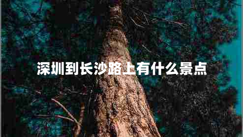 深圳到長(zhǎng)沙路上有什么景點(diǎn)