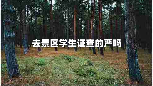去景區(qū)學生證查的嚴嗎