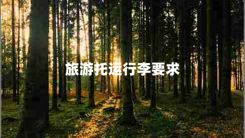 旅游托運(yùn)行李要求