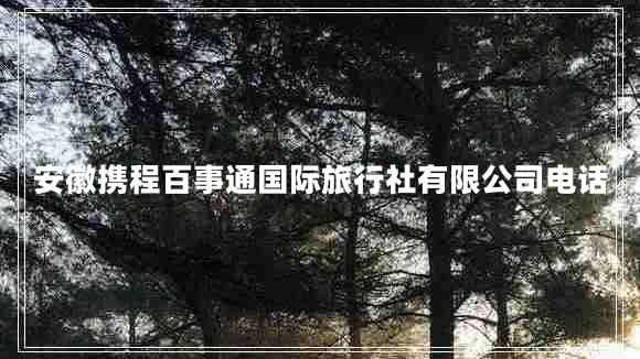 安徽攜程百事通國(guó)際旅行社有限公司電話