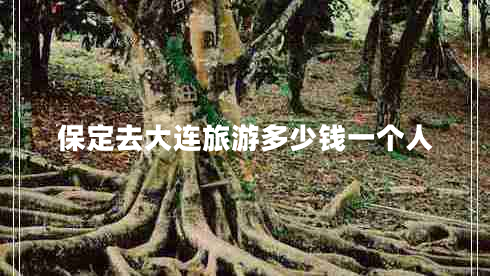 保定去大連旅游多少錢一個(gè)人