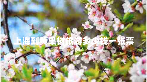 上海到黃果樹旅游多少錢一張票