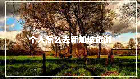 個人怎么去新加坡旅游