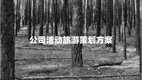 公司活動旅游策劃方案