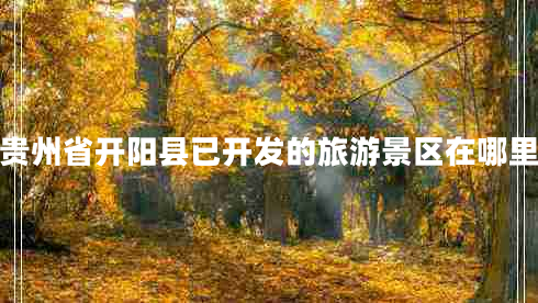 貴州省開陽縣已開發(fā)的旅游景區(qū)在哪里