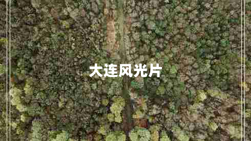 大連風光片