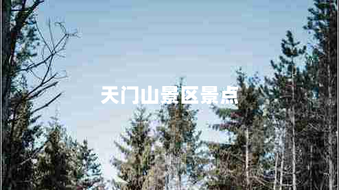 天門山景區(qū)景點