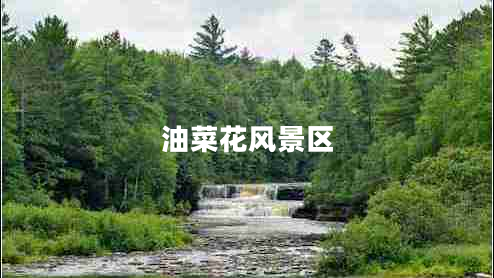 油菜花風(fēng)景區(qū)