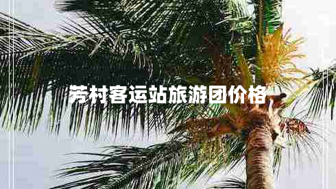 芳村客運站旅游團價格