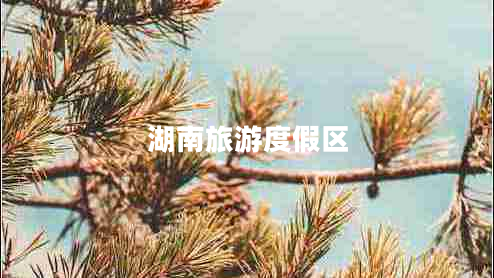 湖南旅游度假區(qū)