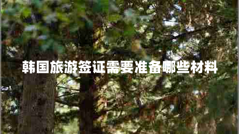 韓國(guó)旅游簽證需要準(zhǔn)備哪些材料