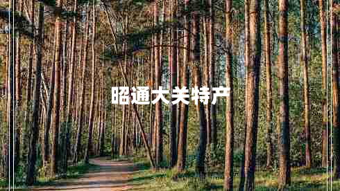 昭通大關特產(chǎn)