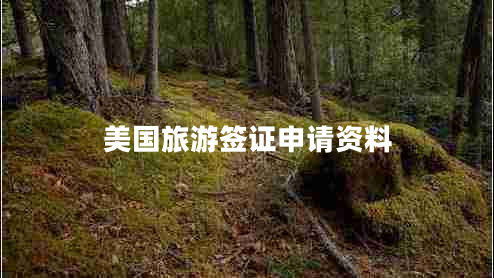 美國旅游簽證申請(qǐng)資料