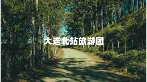 大連北站旅游團(tuán)