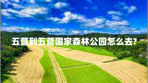 五營(yíng)到五營(yíng)國(guó)家森林公園怎么去?