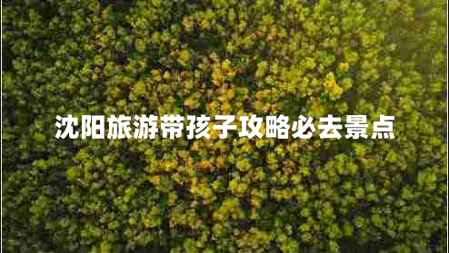 沈陽旅游帶孩子攻略必去景點(diǎn)