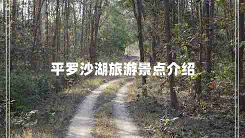 平羅沙湖旅游景點介紹