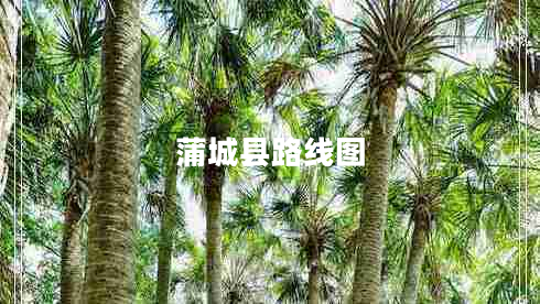 蒲城縣路線圖