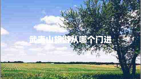 武夷山旅游從哪個門進