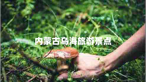 內(nèi)蒙古烏海旅游景點(diǎn)