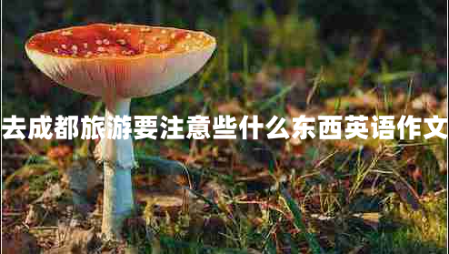 去成都旅游要注意些什么東西英語作文