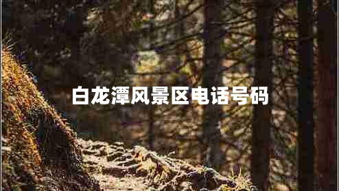 白龍?zhí)讹L(fēng)景區(qū)電話號碼