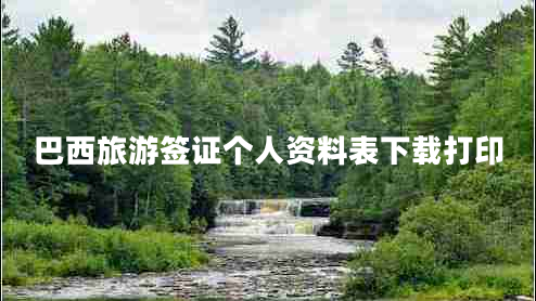 巴西旅游簽證個人資料表下載打印