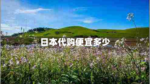 日本代購(gòu)便宜多少