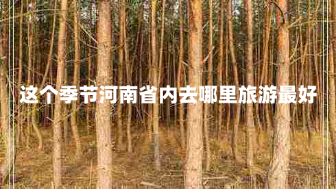 這個(gè)季節(jié)河南省內(nèi)去哪里旅游最好
