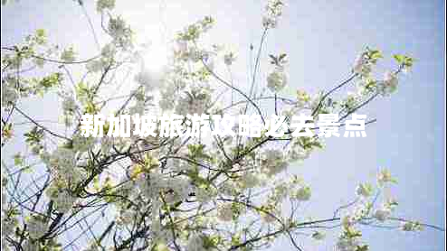 新加坡旅游攻略必去景點(diǎn)