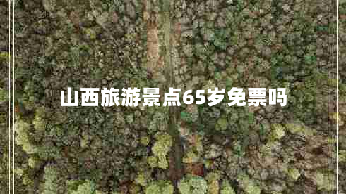 山西旅游景點65歲免票嗎