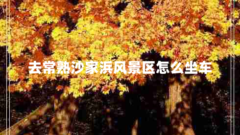 去常熟沙家浜風景區(qū)怎么坐車