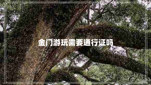 金門游玩需要通行證嗎