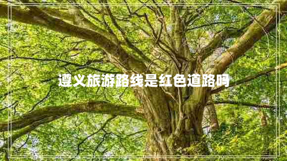 遵義旅游路線是紅色道路嗎