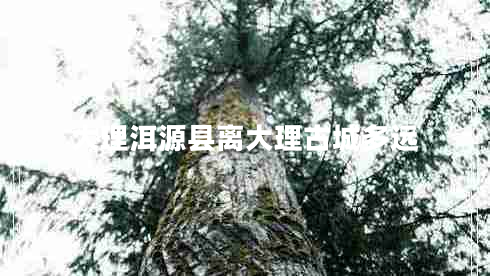 大理洱源縣離大理古城多遠(yuǎn)