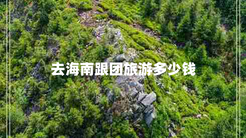 去海南跟團旅游多少錢