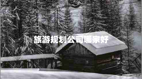 旅游規(guī)劃公司哪家好